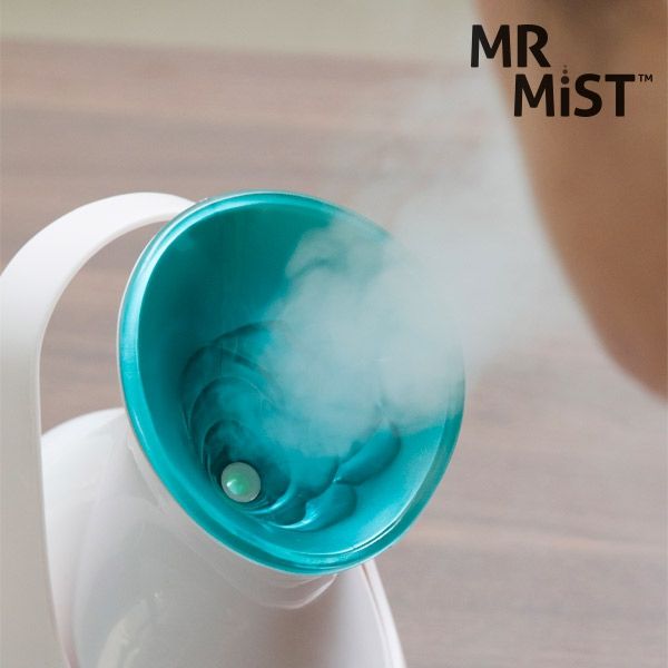 Tvrov Sauna Mr Mist Ionic Steamer