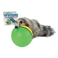 WEASEL BALL ڞasn hraka